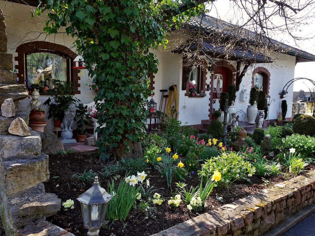 فندق Haus Buena Vista سيئة كيسينجين المظهر الخارجي الصورة